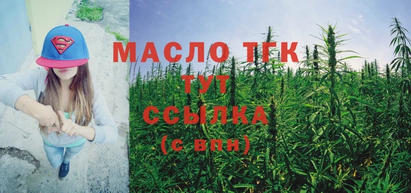 шишки Гусь-Хрустальный