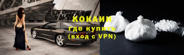 шишки Гусь-Хрустальный