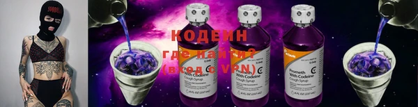 шишки Гусь-Хрустальный