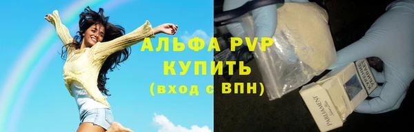 шишки Гусь-Хрустальный