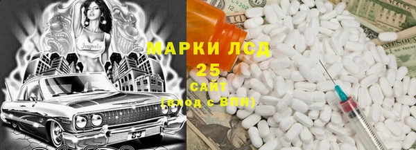 шишки Гусь-Хрустальный