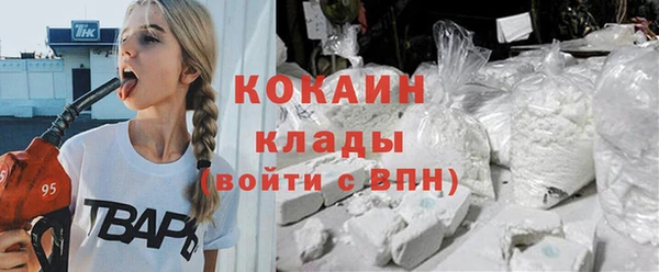 шишки Гусь-Хрустальный