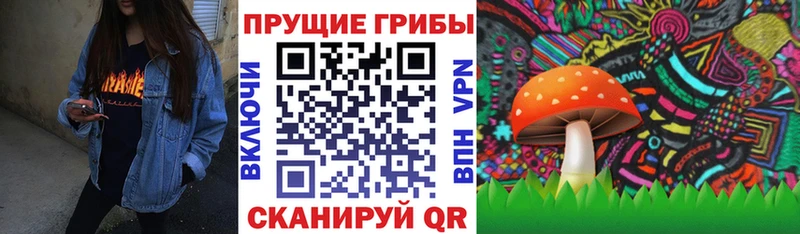 Галлюциногенные грибы MAGIC MUSHROOMS  Купить  Покачи 